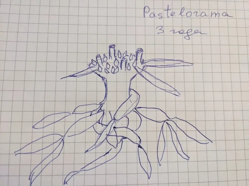 2023 09 02 09 57 03