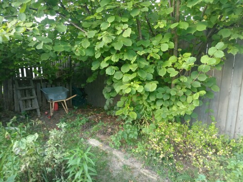 IMG 20230907 180425
