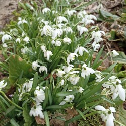 IMG_20240407_094136350e3c6c5d3fa327