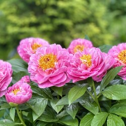 IMG_5926b5ca8d96f6ba14aa