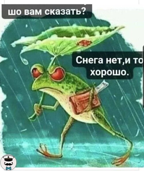 снега нет