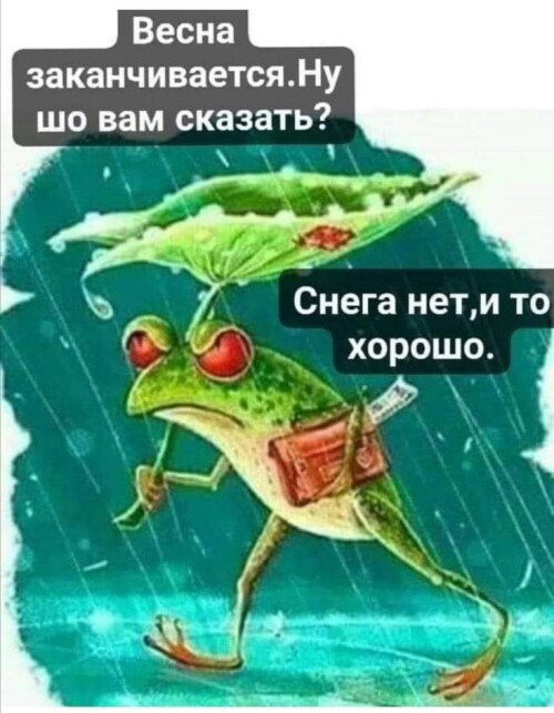 YMOR76ec38b08ca7ab3a.jpg