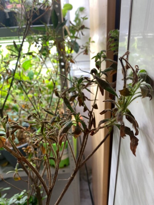 photo 2024 08 29 15 48 44