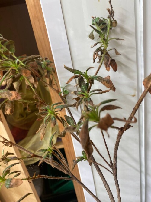 photo 2024 08 29 15 48 45