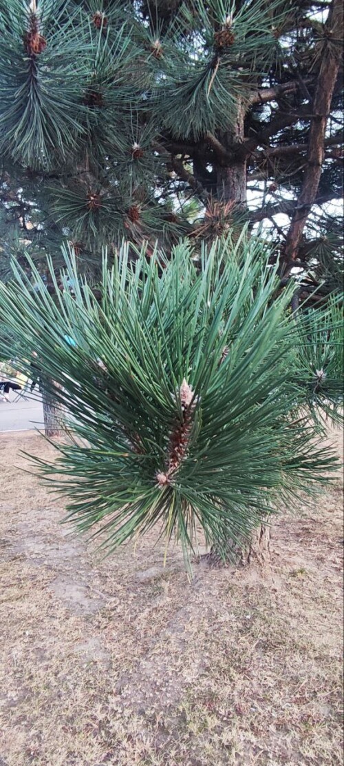 photo 8 2024 09 25 22 16 29