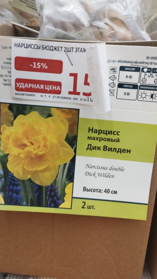 IMG 20241010 WA0012