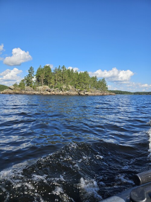 S_225b9ff04d5500e12.jpg