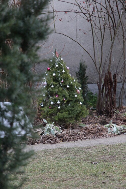 IMG 7596