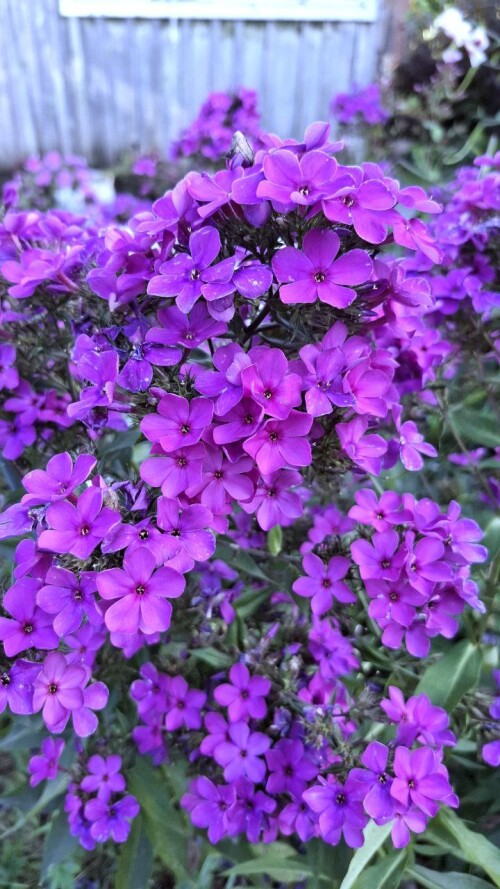 IMG 20250106 222711 630