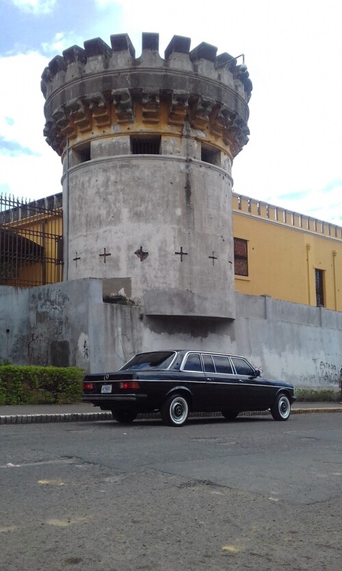 COSTA-RICA-CASTLE.-LANG-LIMO098e6c29a9ead93f.jpg