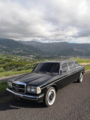 ESCAZU-MANSION-MOUNTAINS.-MERCEDES-W123-LIMO15aa56ed88641cba.jpg