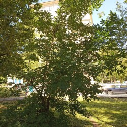 IMG_20240708_120644f840c9f65dc816e6