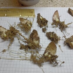 IMG_20250124_1520051664abcb49903192