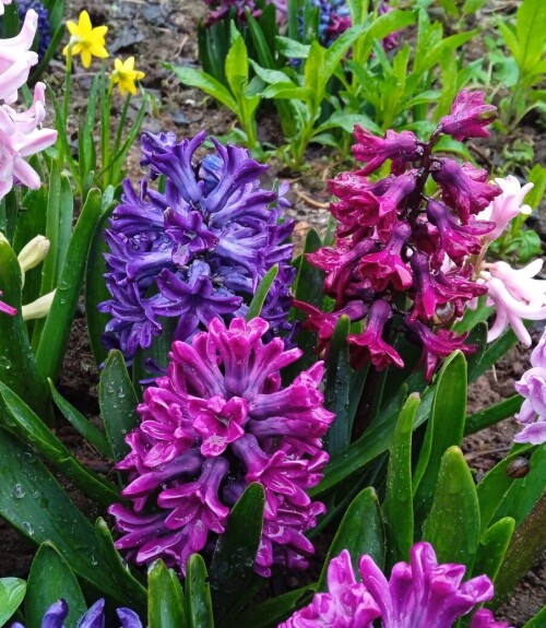 1-may-3c8696ed0d2ebf4fb.jpg