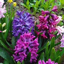 1-may-3c8696ed0d2ebf4fb