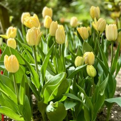 IMG_828565d64895351b22b6