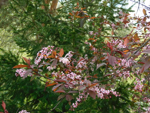 DSCN8712