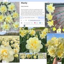 Manly14870372fc69ed37