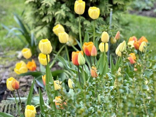 IMG_83723b6bbc6a3da51bb5.jpg