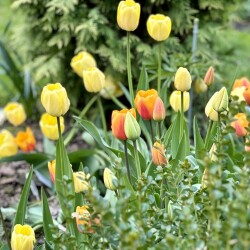 IMG_83723b6bbc6a3da51bb5