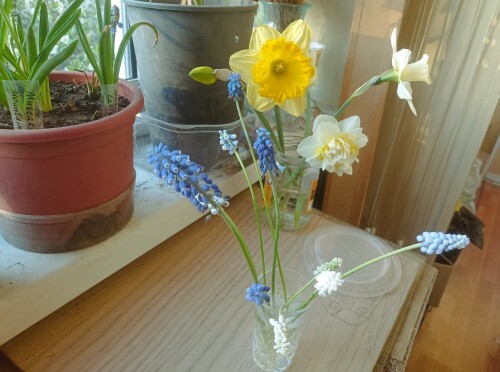IMG 20250424 184159 — копия