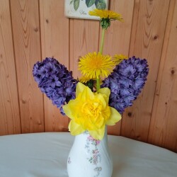 spring-flowers-18-mayb156213d77e47c7e