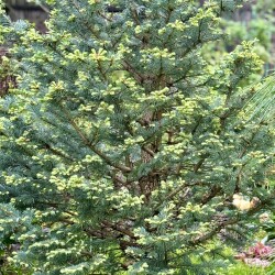 IMG_8408db978b67590fa4ec
