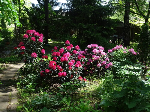 DSC0948720ce9000aee31dee.jpg
