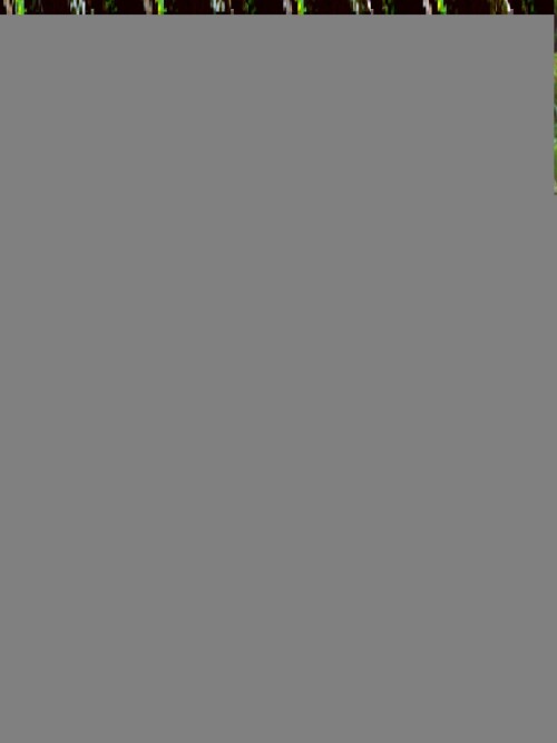 1000056241cef18f348b5877d7.jpg