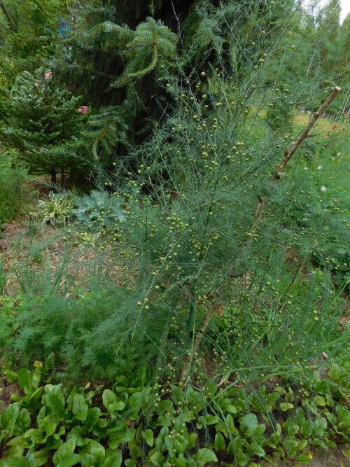 DSCN0370