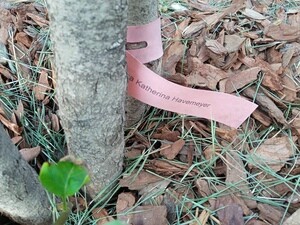label-6-6291d5f52ffdfa302.jpg