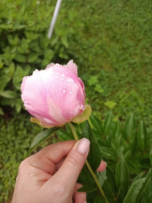 IMG 20250614 110732 344