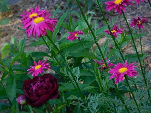 DSCN3916c899f82036a7ec7e.jpg