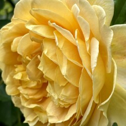 IMG_9840d28cb3be0d3054e5