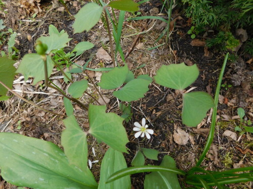 DSCN89773f59220c63a9254a.jpg