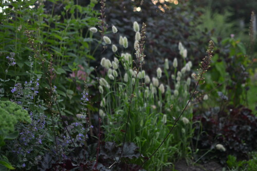 DSC 0250 5af308