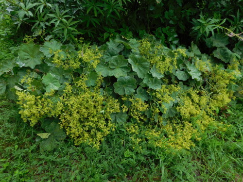 DSCN1183