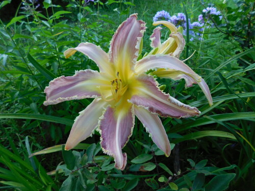 DSCN1227