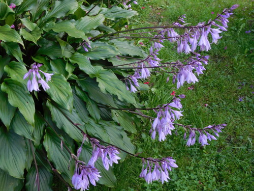 DSCN16923412e963fd02b1c6.jpg