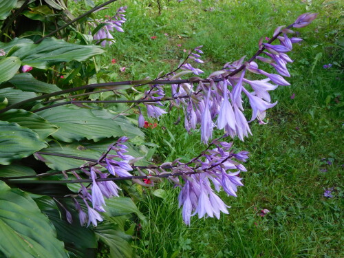DSCN169366903c7bb677dd3b.jpg