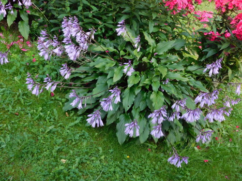 DSCN1695c93400f04ae6a241.jpg