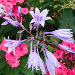 DSCN169605860a558bb21e9b