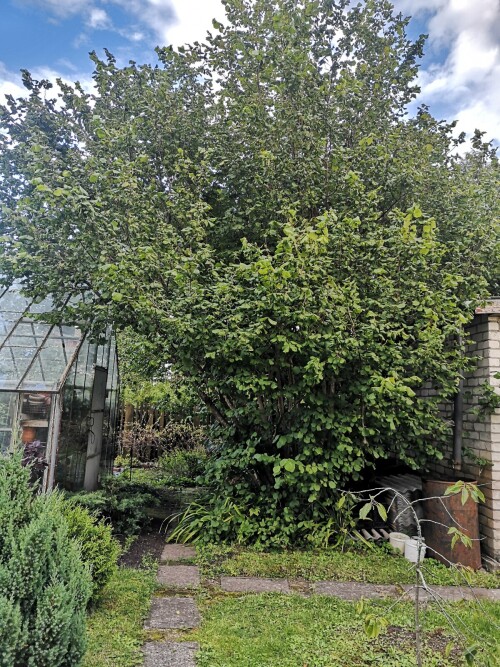 IMG 20250827 190520