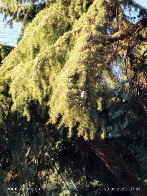 IMG-20250923-WA000519671461c95615be.jpg