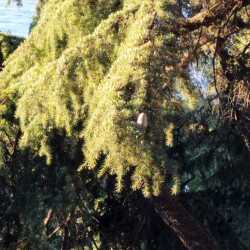 IMG-20250923-WA000519671461c95615be