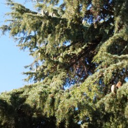 IMG-20250923-WA00078d0ef038bb921efd