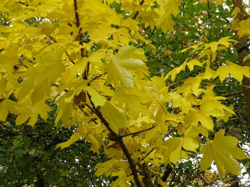 DSC000175808e3812f9b406b.jpg