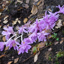 DSCN2736dde16bab347ec093