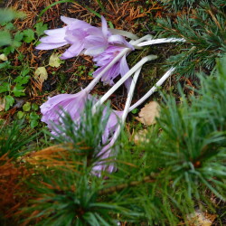 DSCN2744ba3942442984f905