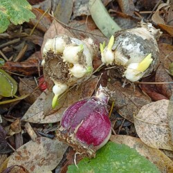 IMG_20251029_195118b588d3f7b70ba886